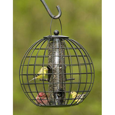 best gardeners supply company squirrel proof bird feeder