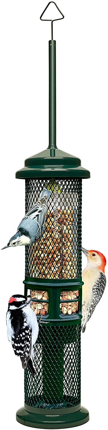 squirrel proof bird feeder