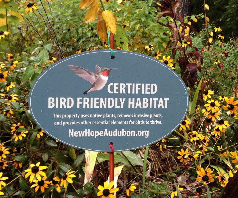 bird habitat