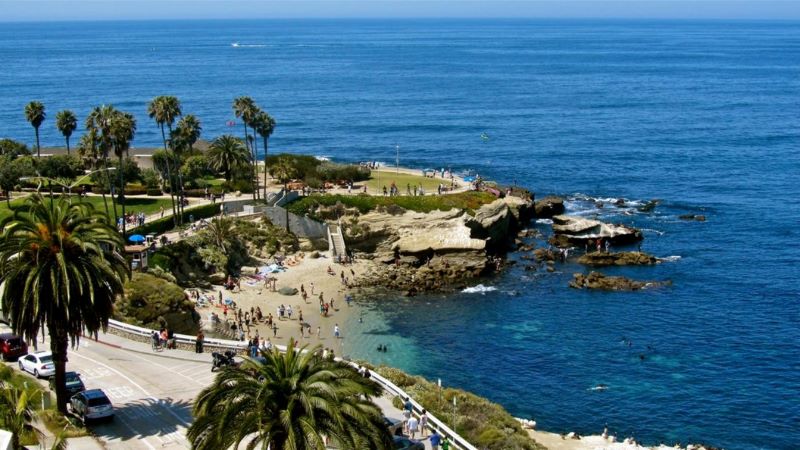 favorite birding spot la jolla