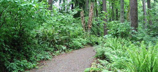 bird watching in watershed park