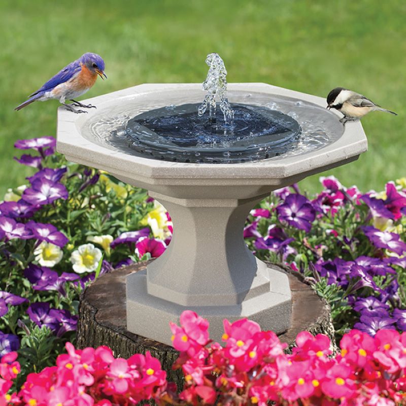  bird bath