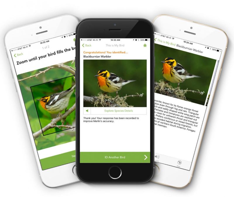 birding app