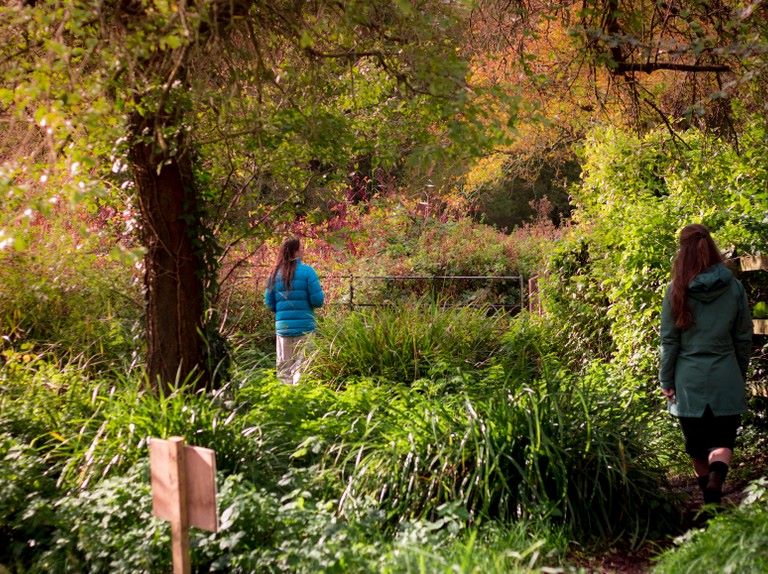 nature listening