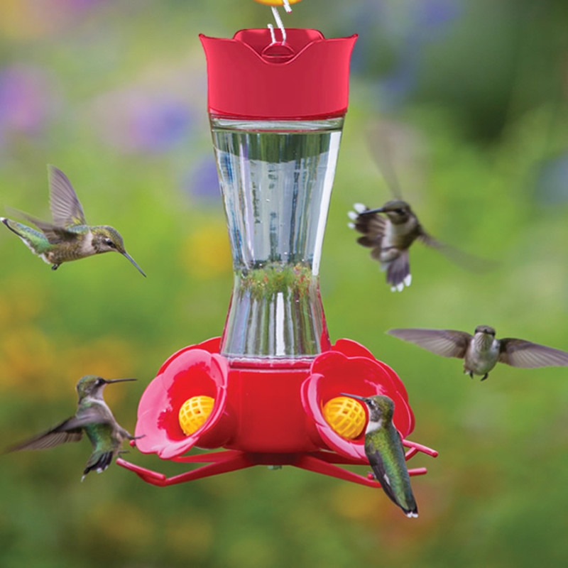 How To Clean A Hummingbird Feeder