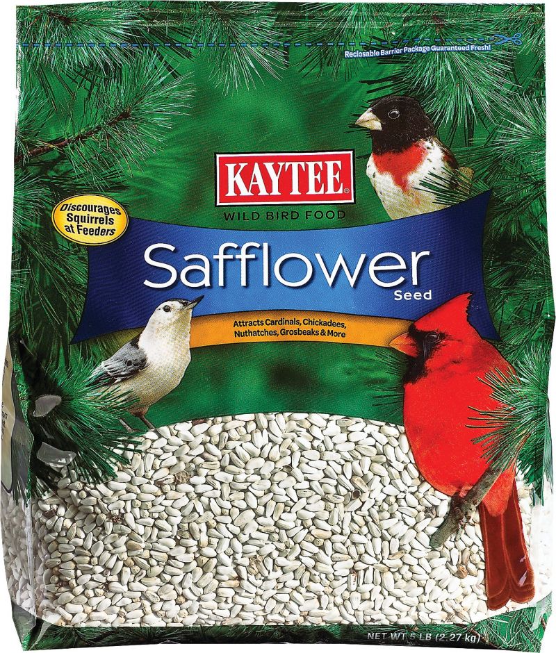 safflower seeds