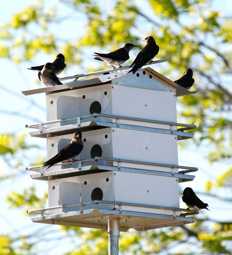 purple martin apartment house