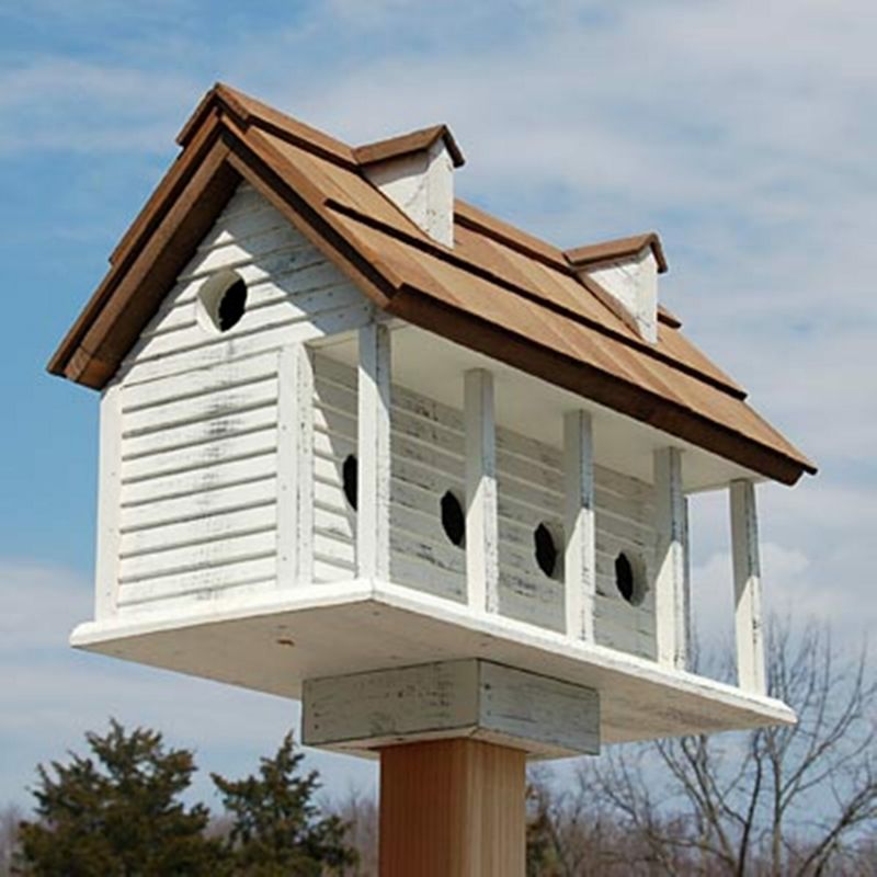 purple martin house