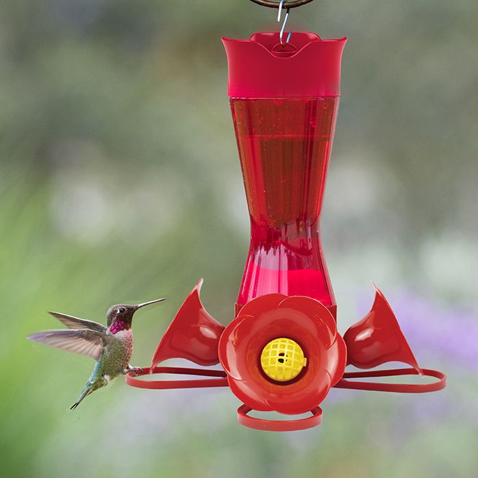 red hummingbird feeder