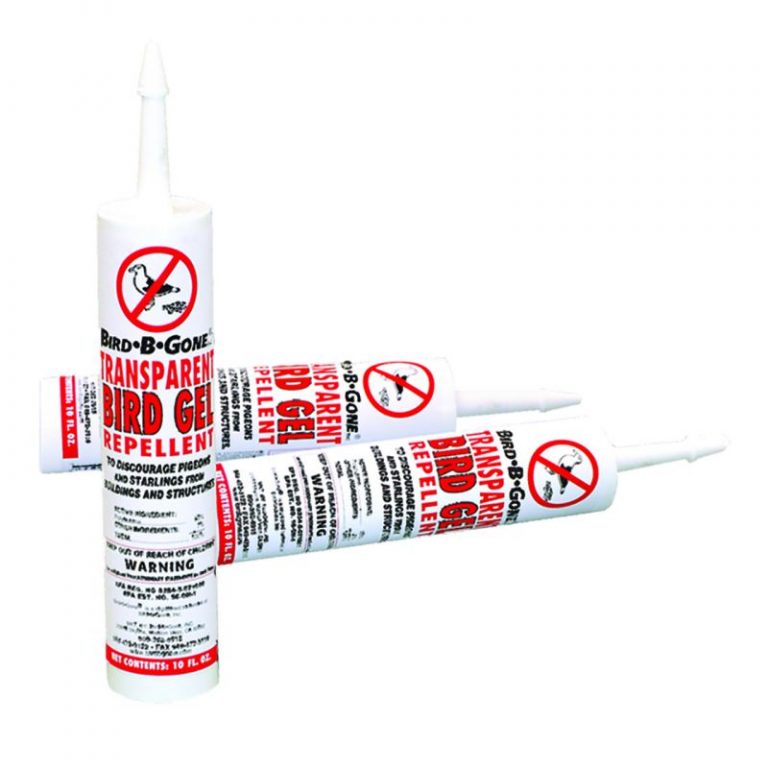 Keeping Birds Away With a Homemade Bird Repellent Daily Birder